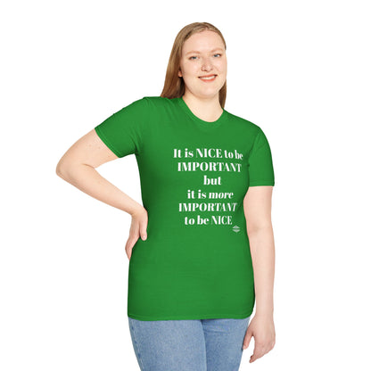 IT IS NICE TO BE IMPORTANT