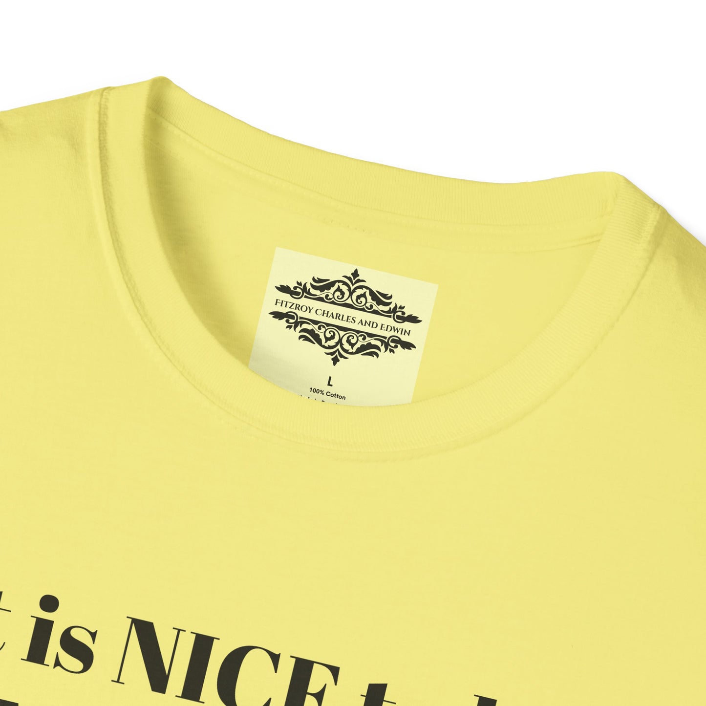IT IS NICE TEE