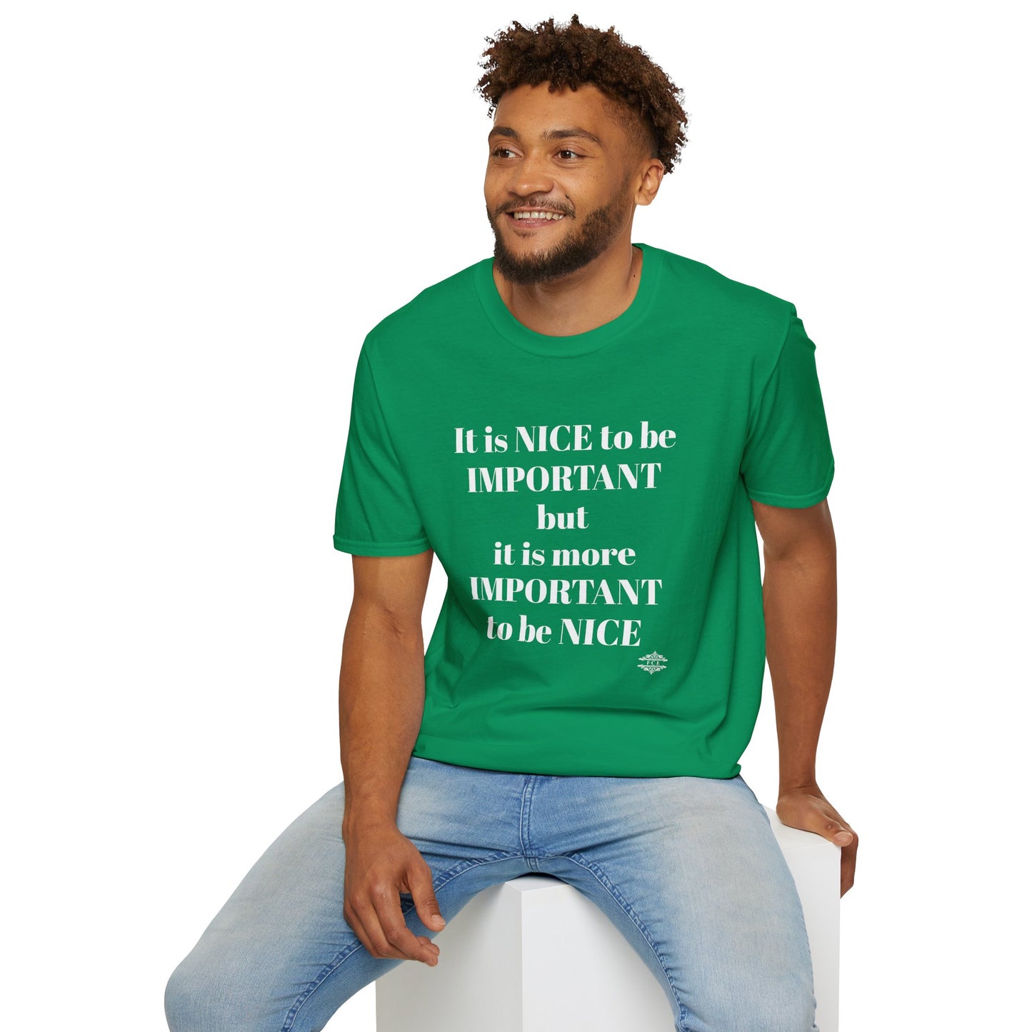 IT IS NICE TO BE IMPORTANT