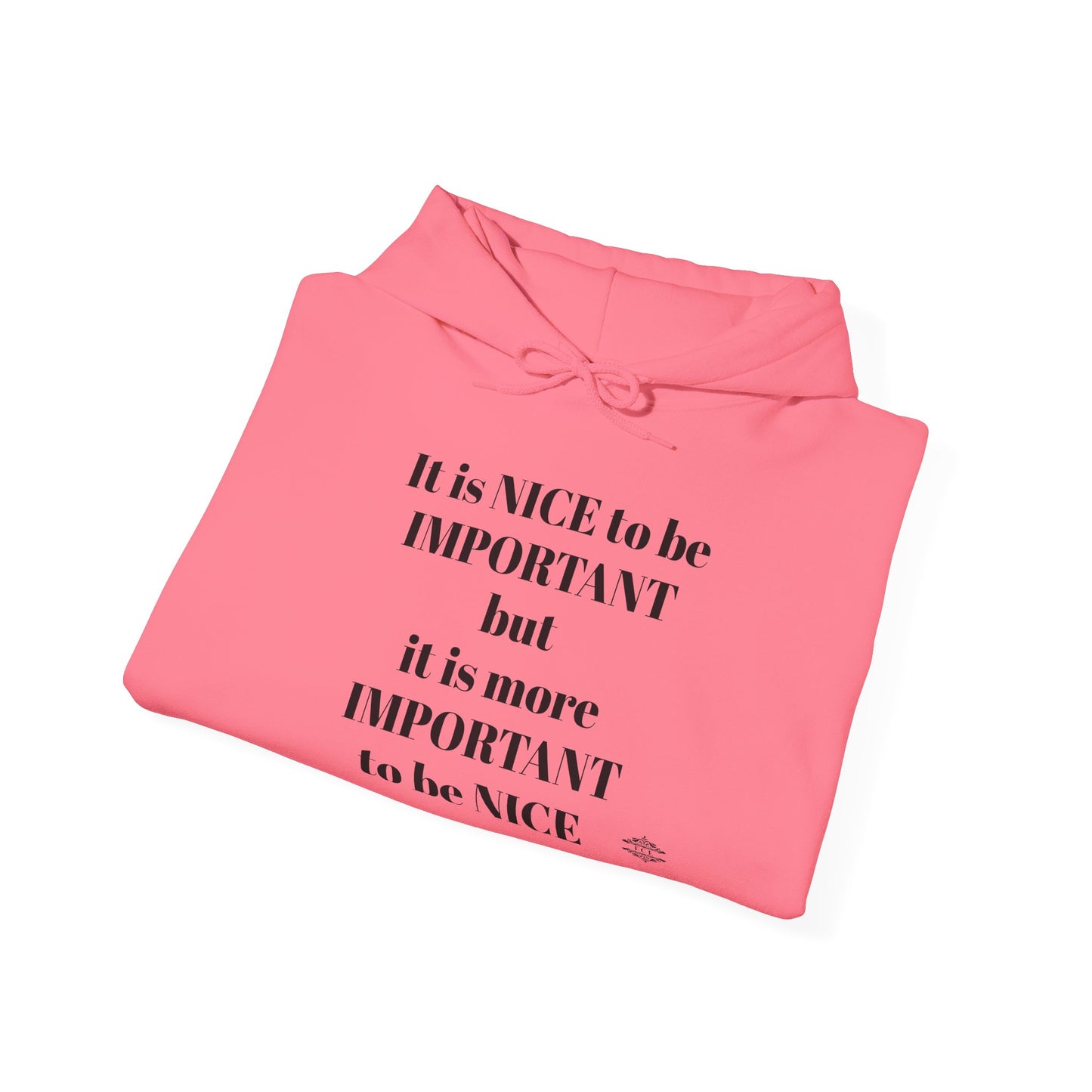 BE NICE HOODED SWEATSHIRT