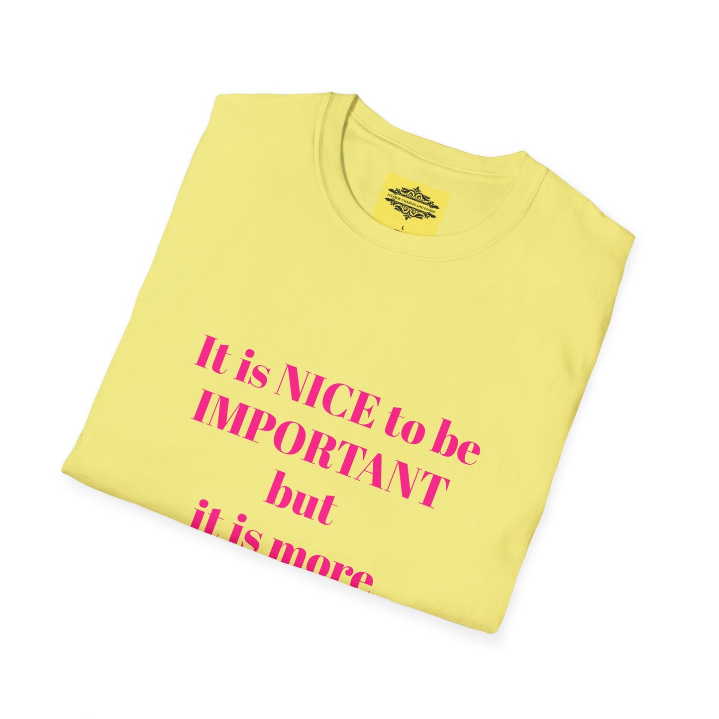 INSPIRATIONAL QUOTE BE NICE TEE