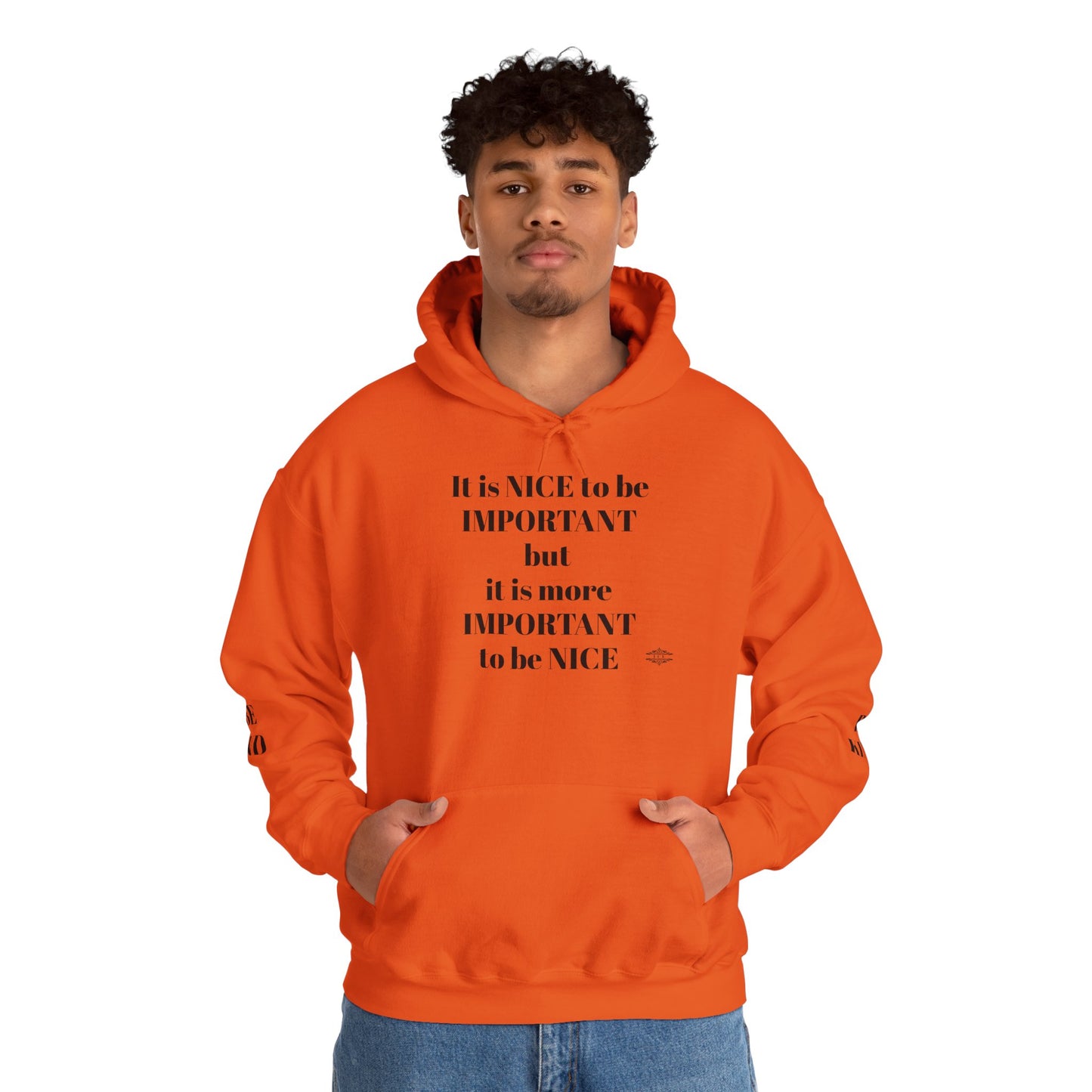 BE NICE HOODED SWEATSHIRT