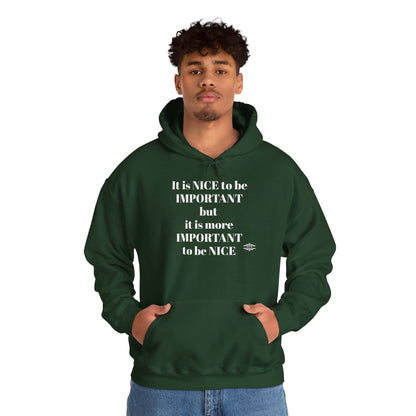 BE NICE HOODED SWEATSHIRT