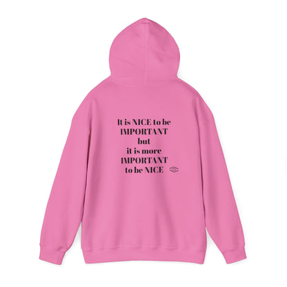 BE NICE HOODED SWEATSHIRT