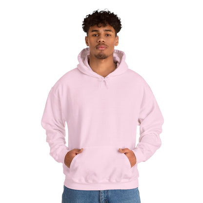 BE NICE HOODED SWEATSHIRT
