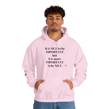 BE NICE HOODED SWEATSHIRT