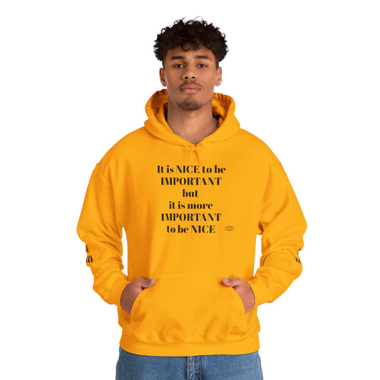 BE NICE HOODED SWEATSHIRT