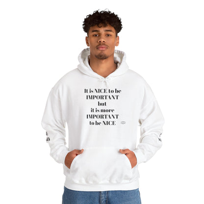 BE NICE HOODED SWEATSHIRT