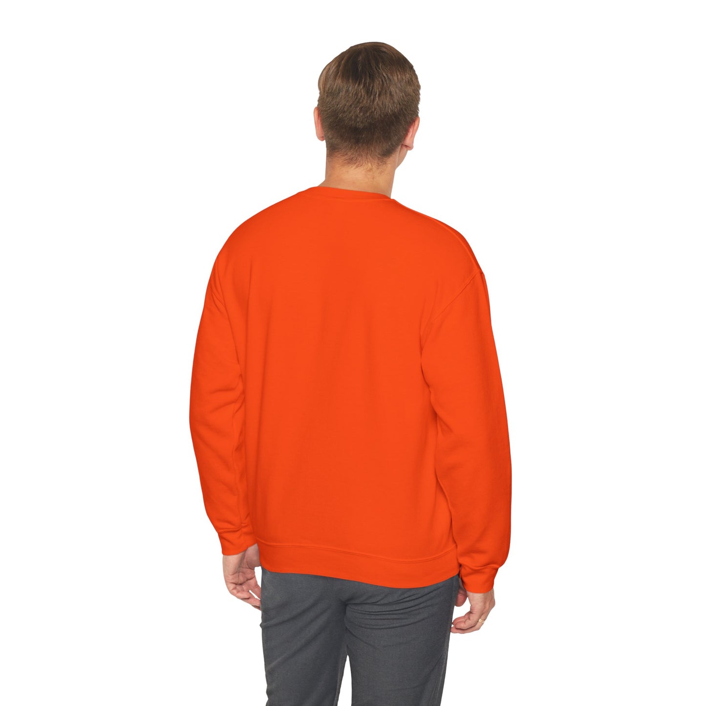 WHY NOT CREWNECK SWEATSHIRT