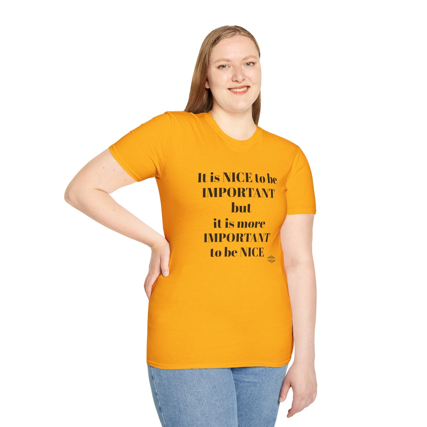 IT IS NICE TEE