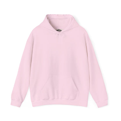 BE NICE HOODED SWEATSHIRT
