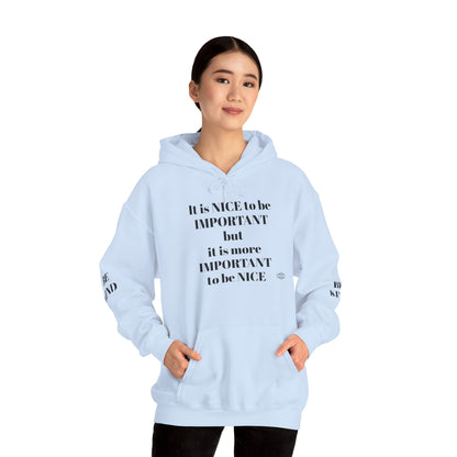 BE NICE HOODED SWEATSHIRT