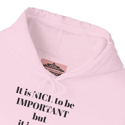 BE NICE HOODED SWEATSHIRT