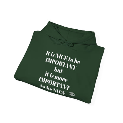 BE NICE HOODED SWEATSHIRT