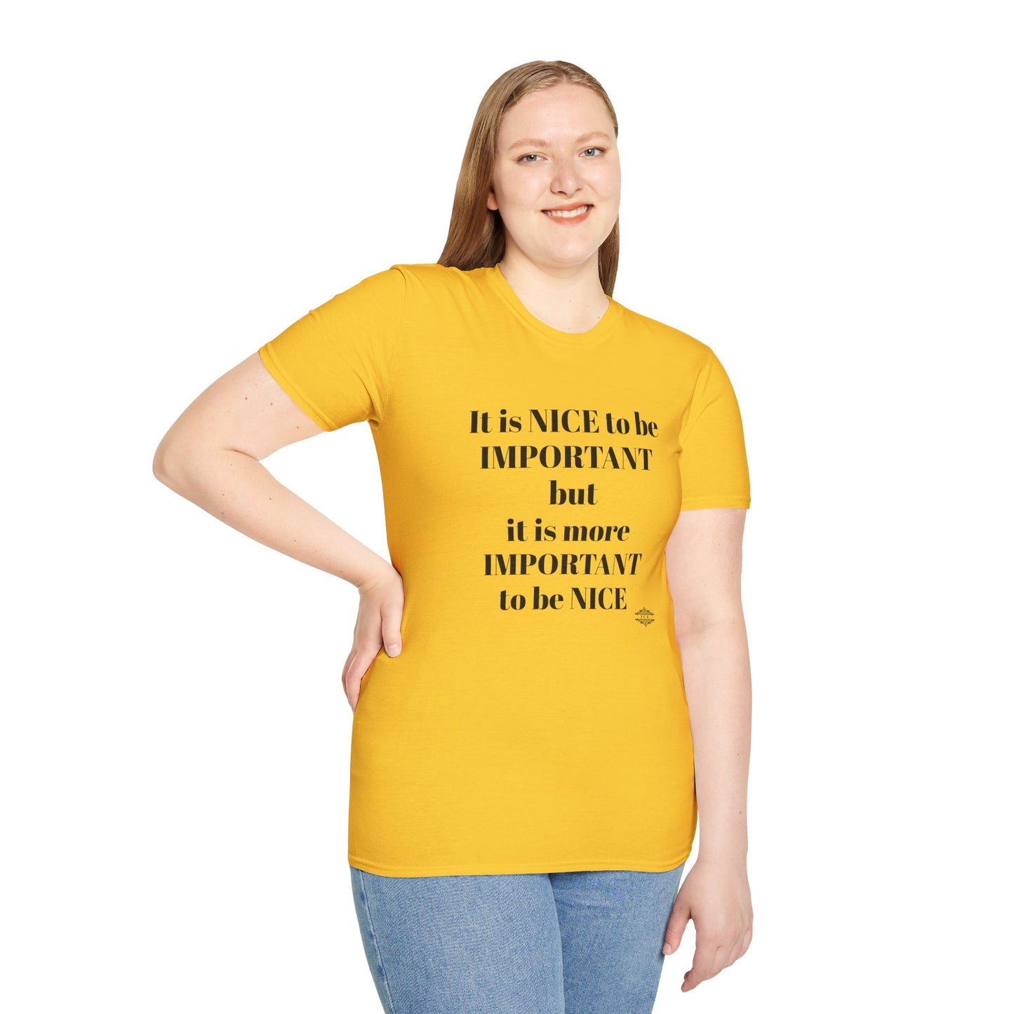 IT IS NICE TEE