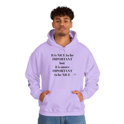 BE NICE HOODED SWEATSHIRT