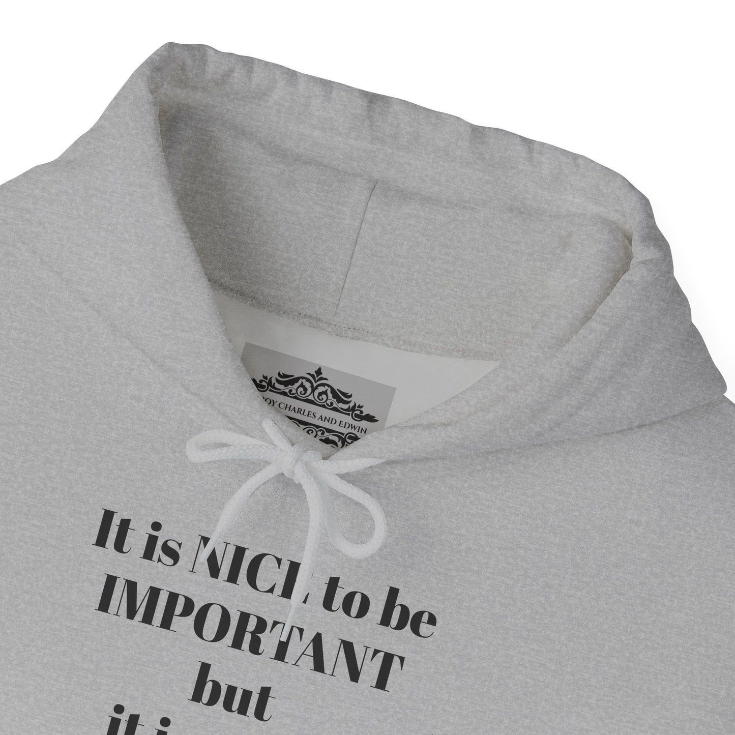 BE NICE HOODED SWEATSHIRT