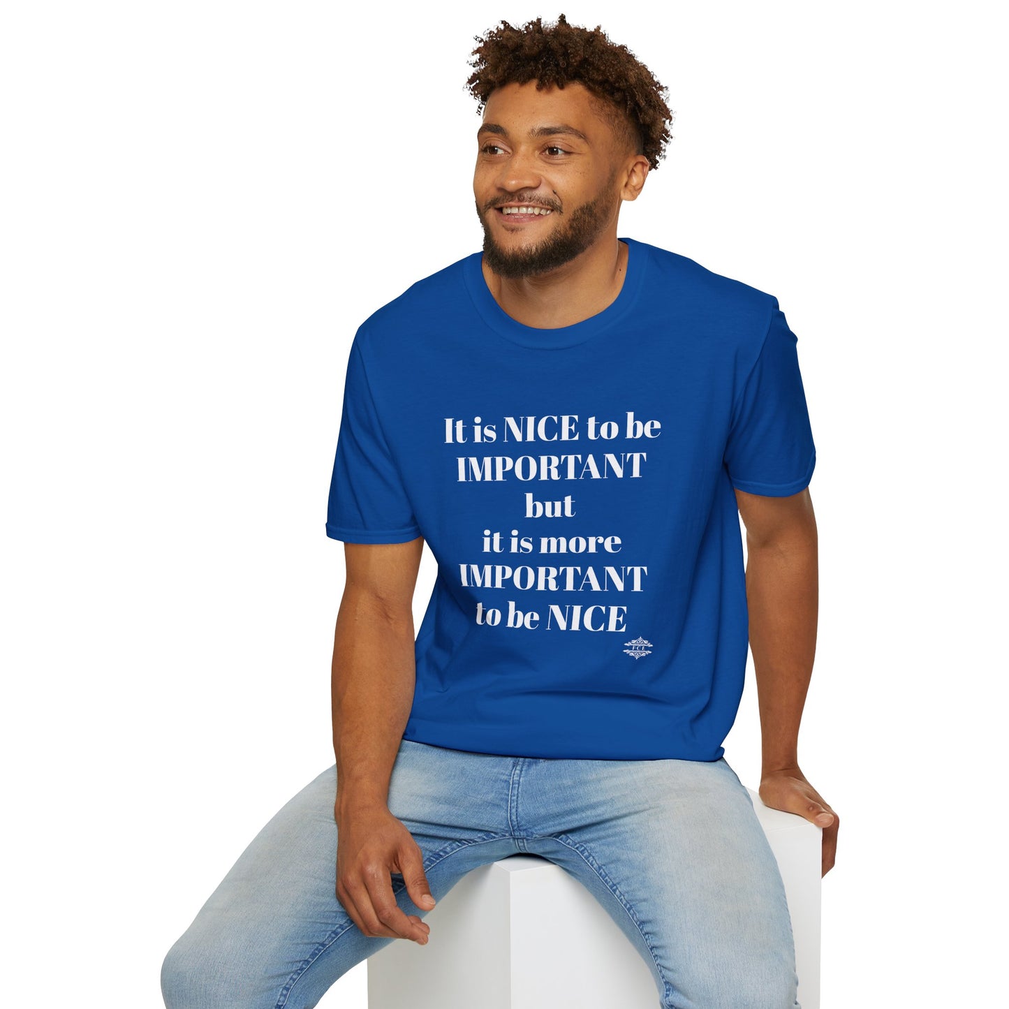 IT IS NICE TO BE IMPORTANT