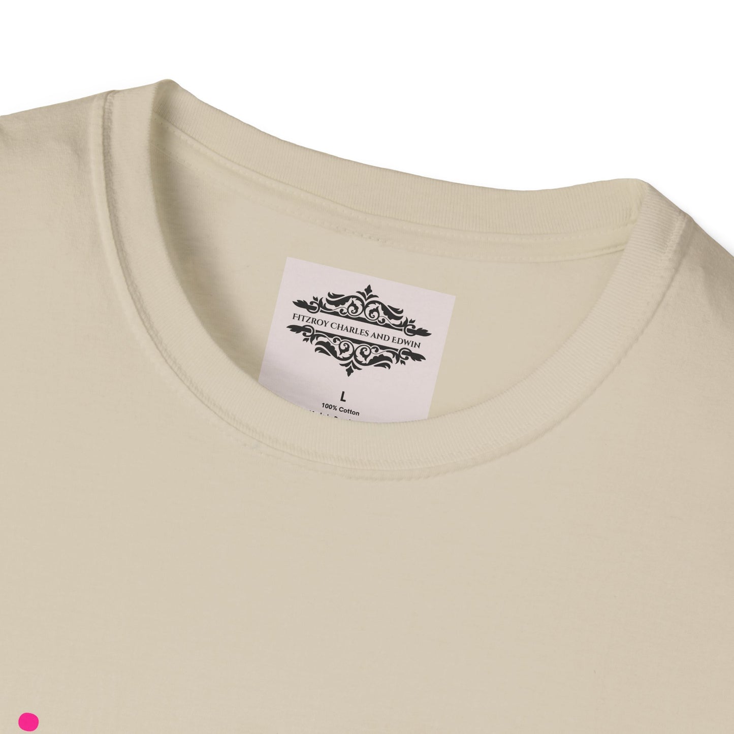 INSPIRATIONAL QUOTE BE NICE TEE
