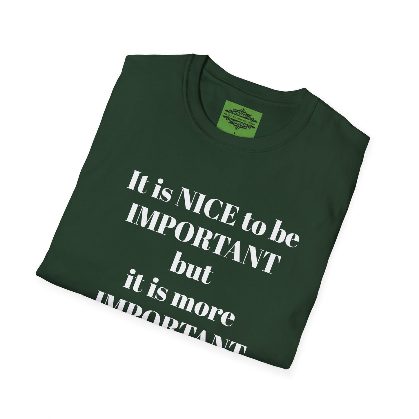 IT IS NICE TO BE IMPORTANT