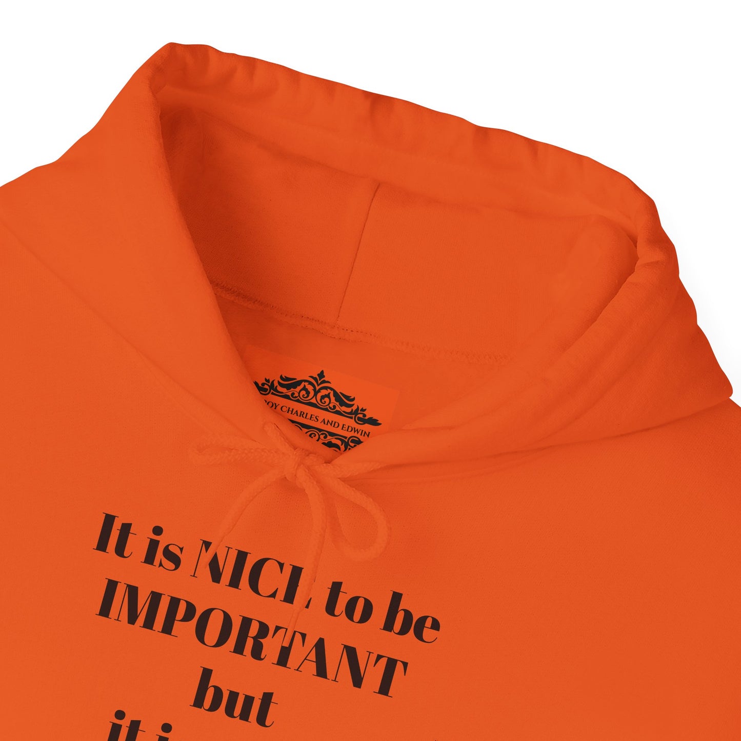 BE NICE HOODED SWEATSHIRT