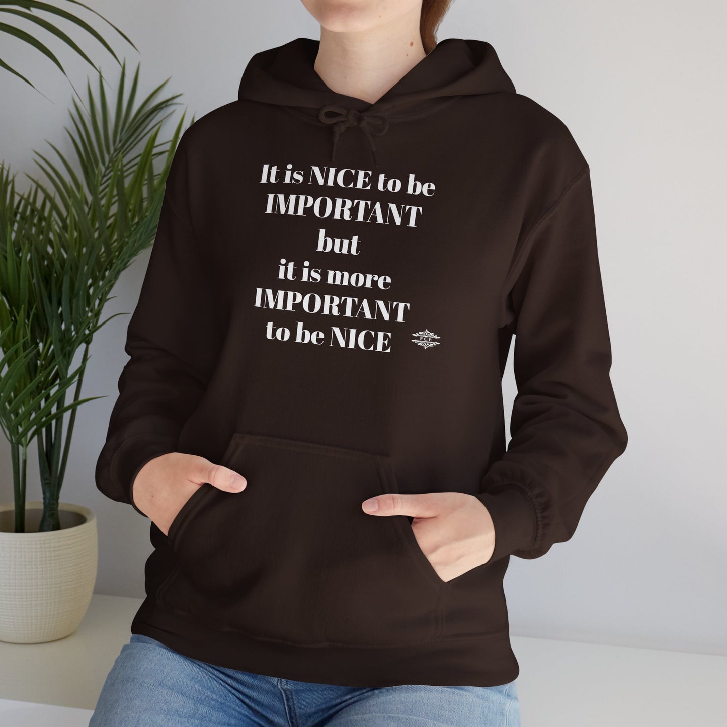 BE NICE HOODED SWEATSHIRT