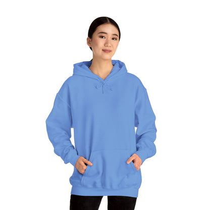BE NICE HOODED SWEATSHIRT