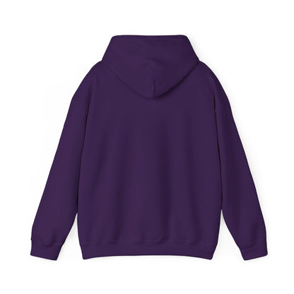 BE NICE HOODED SWEATSHIRT