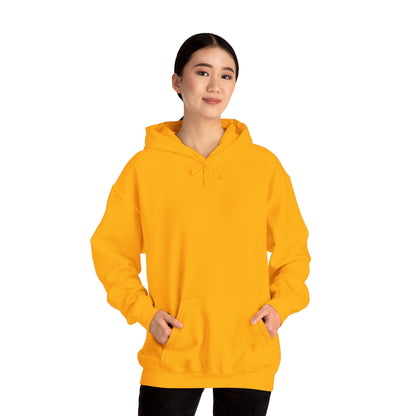BE NICE HOODED SWEATSHIRT