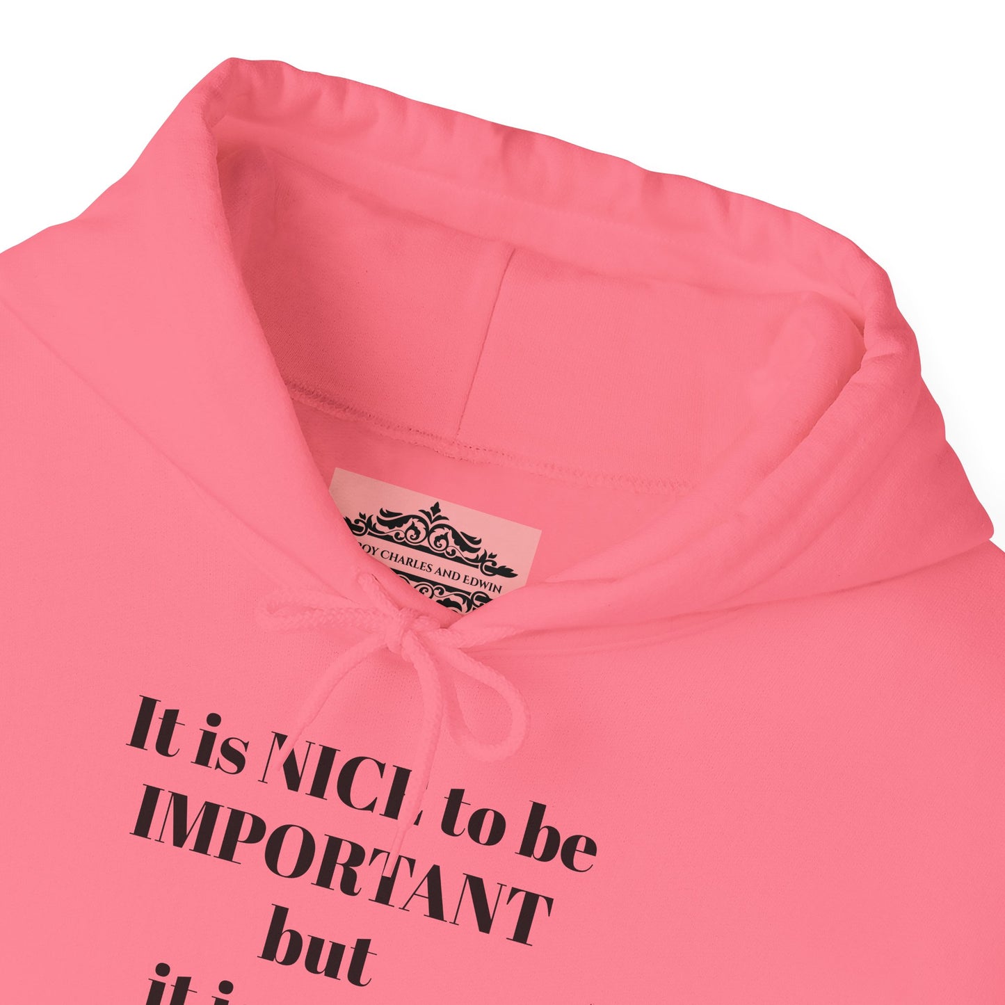 BE NICE HOODED SWEATSHIRT