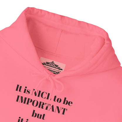 BE NICE HOODED SWEATSHIRT