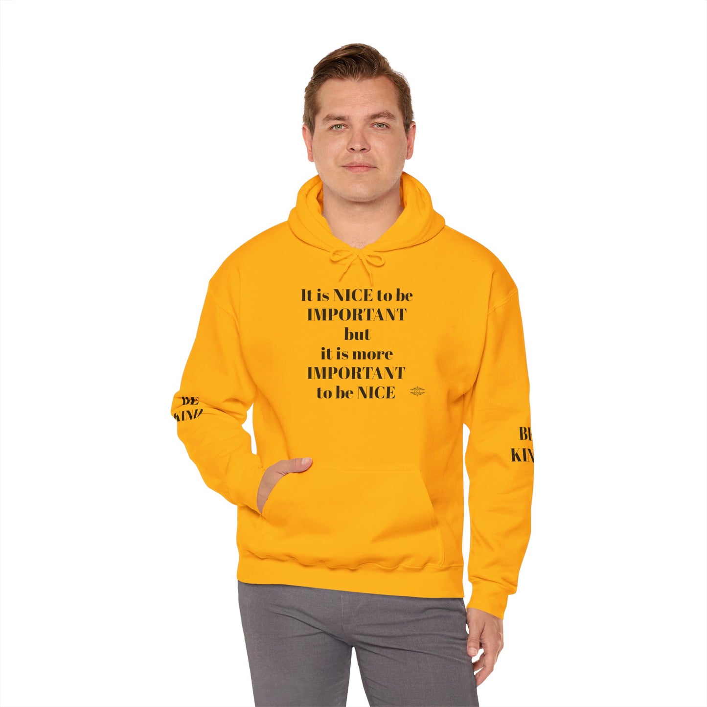 BE NICE HOODED SWEATSHIRT