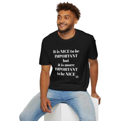 IT IS NICE TO BE IMPORTANT