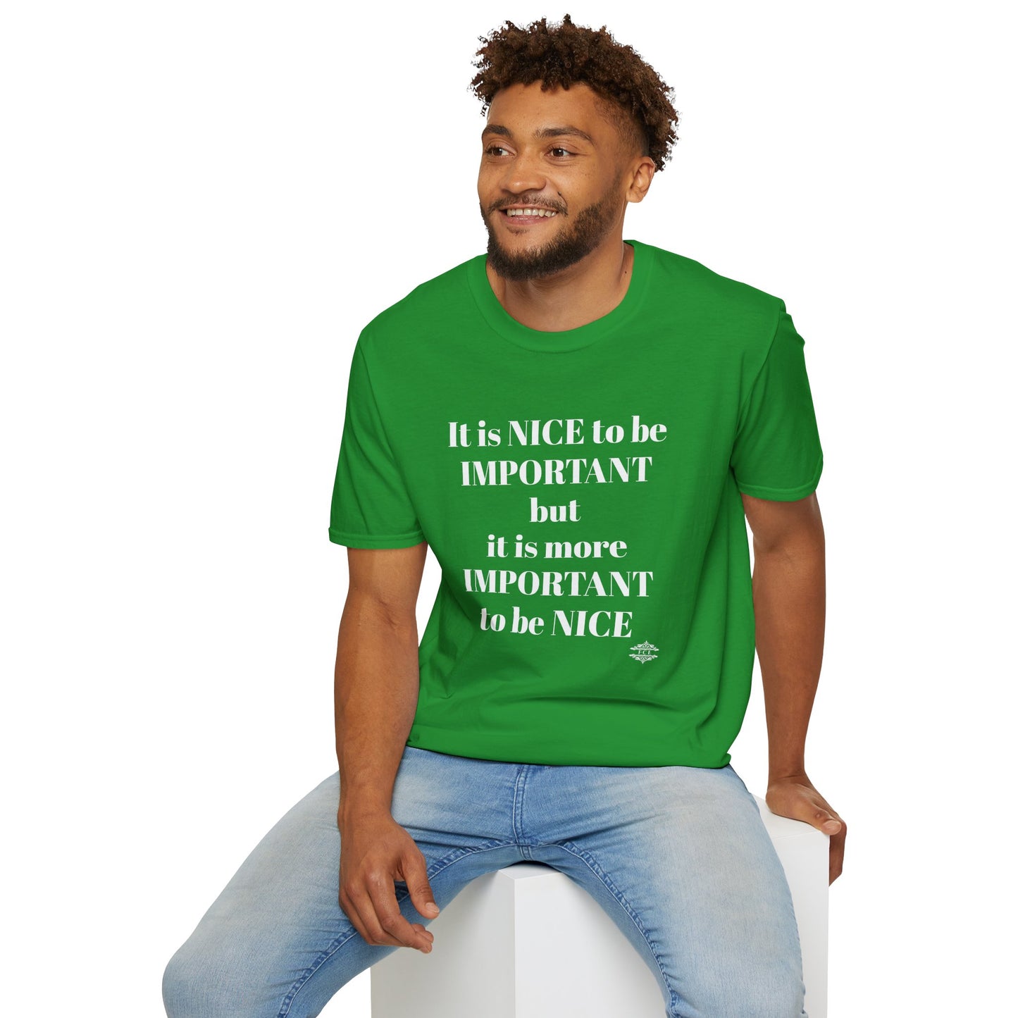 IT IS NICE TO BE IMPORTANT