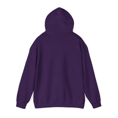 BE NICE HOODED SWEATSHIRT