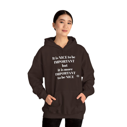 BE NICE HOODED SWEATSHIRT