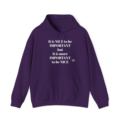 BE NICE HOODED SWEATSHIRT