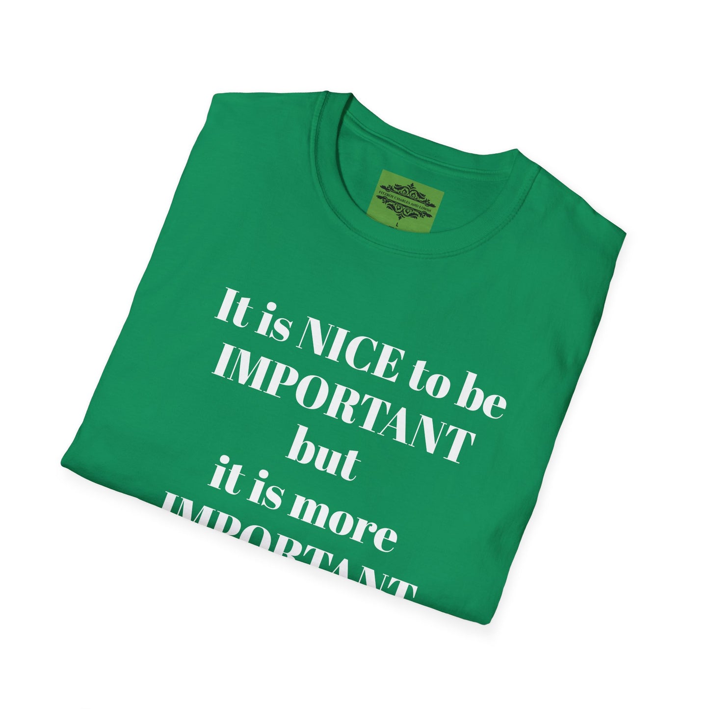 IT IS NICE TO BE IMPORTANT