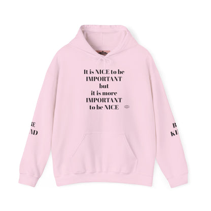 BE NICE HOODED SWEATSHIRT