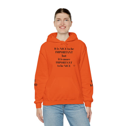 BE NICE HOODED SWEATSHIRT