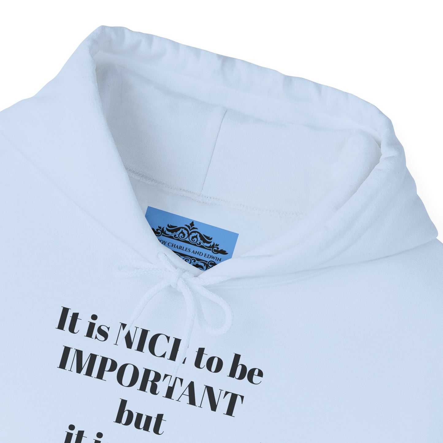 BE NICE HOODED SWEATSHIRT