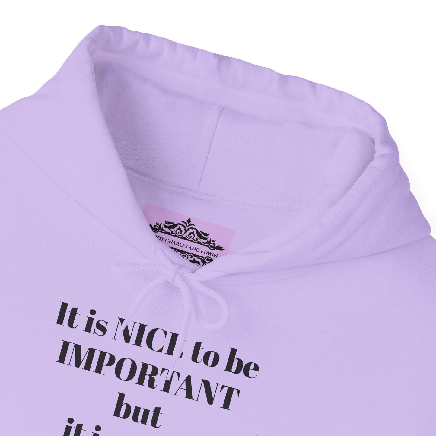 BE NICE HOODED SWEATSHIRT