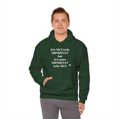 BE NICE HOODED SWEATSHIRT