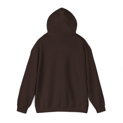 BE NICE HOODED SWEATSHIRT