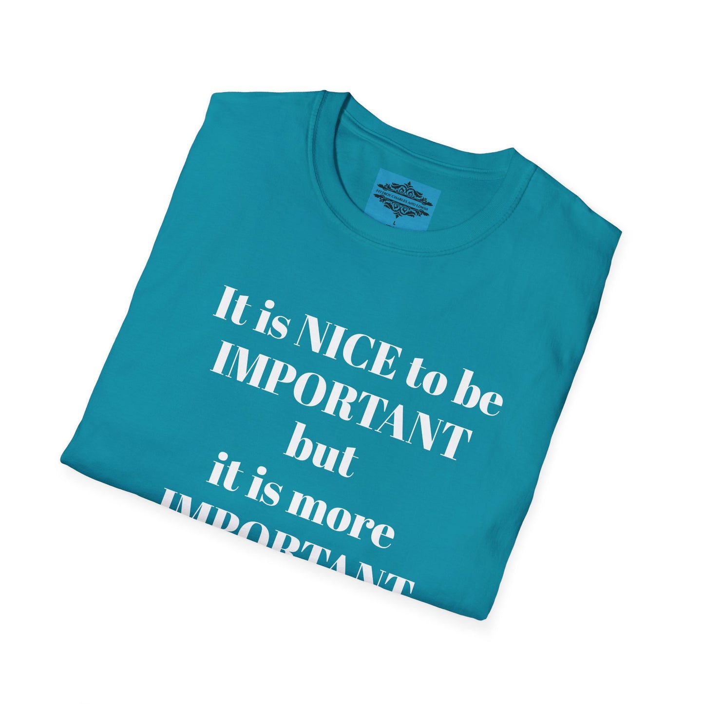 IT IS NICE TO BE IMPORTANT
