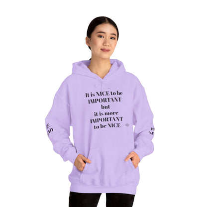 BE NICE HOODED SWEATSHIRT