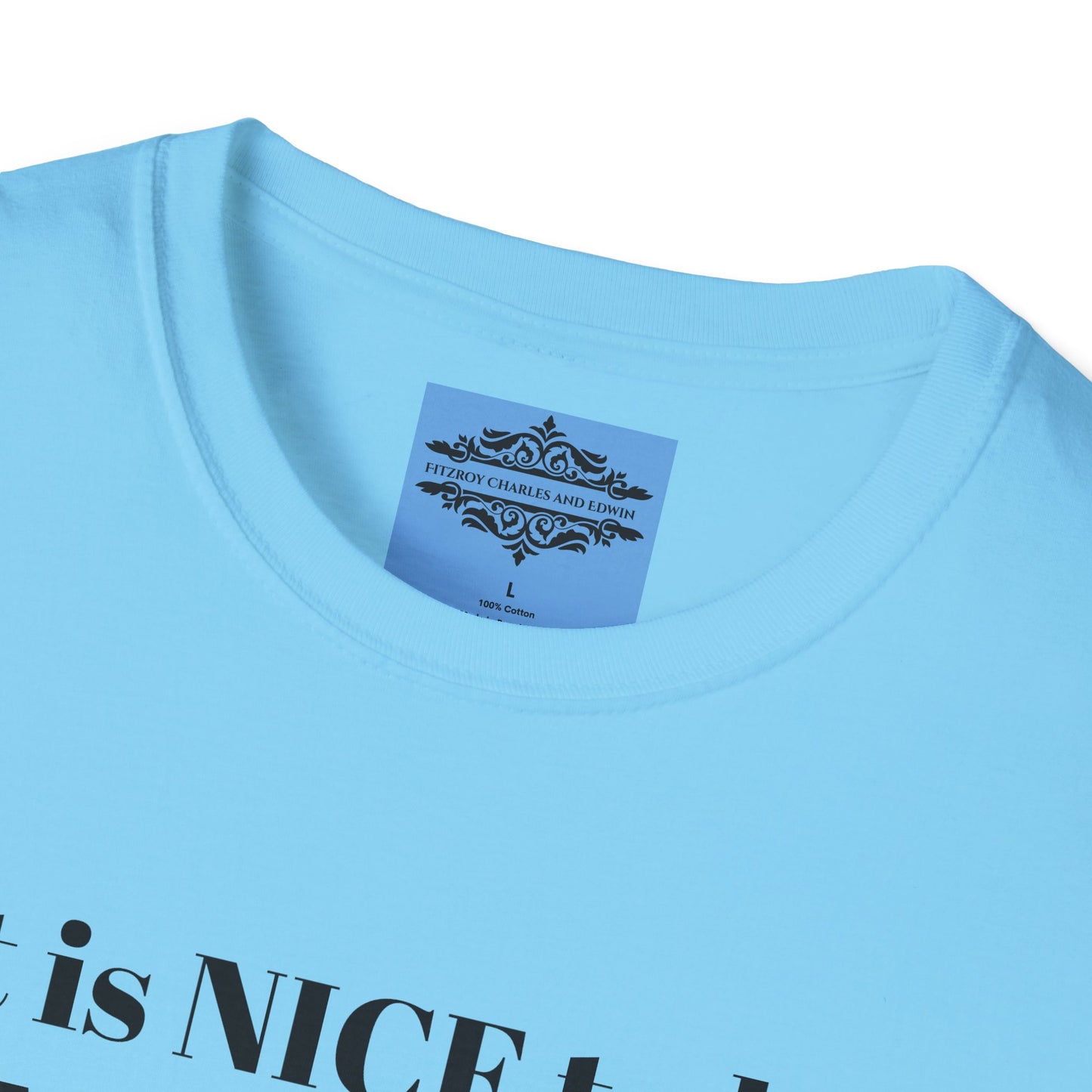 IT IS NICE TEE
