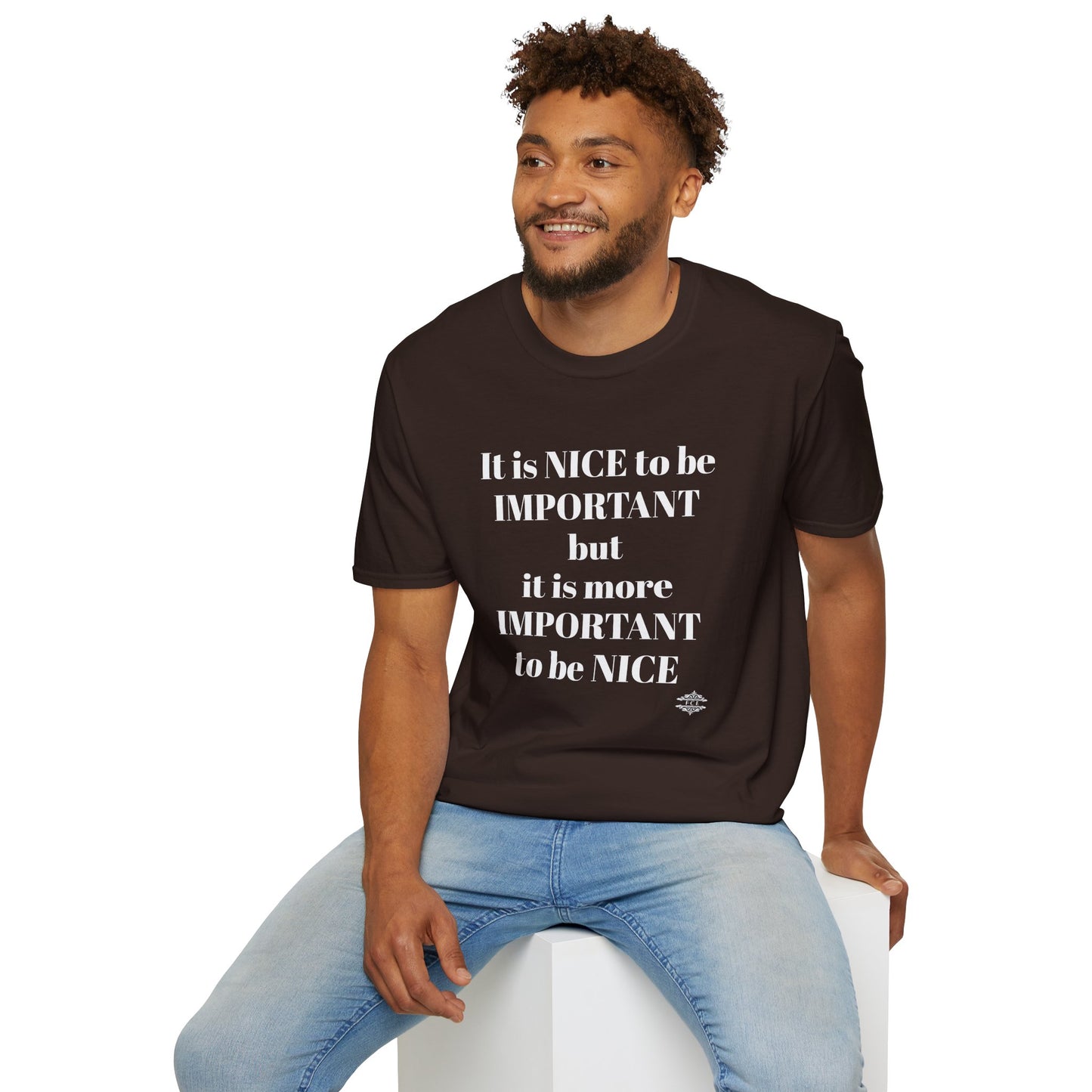 IT IS NICE TO BE IMPORTANT