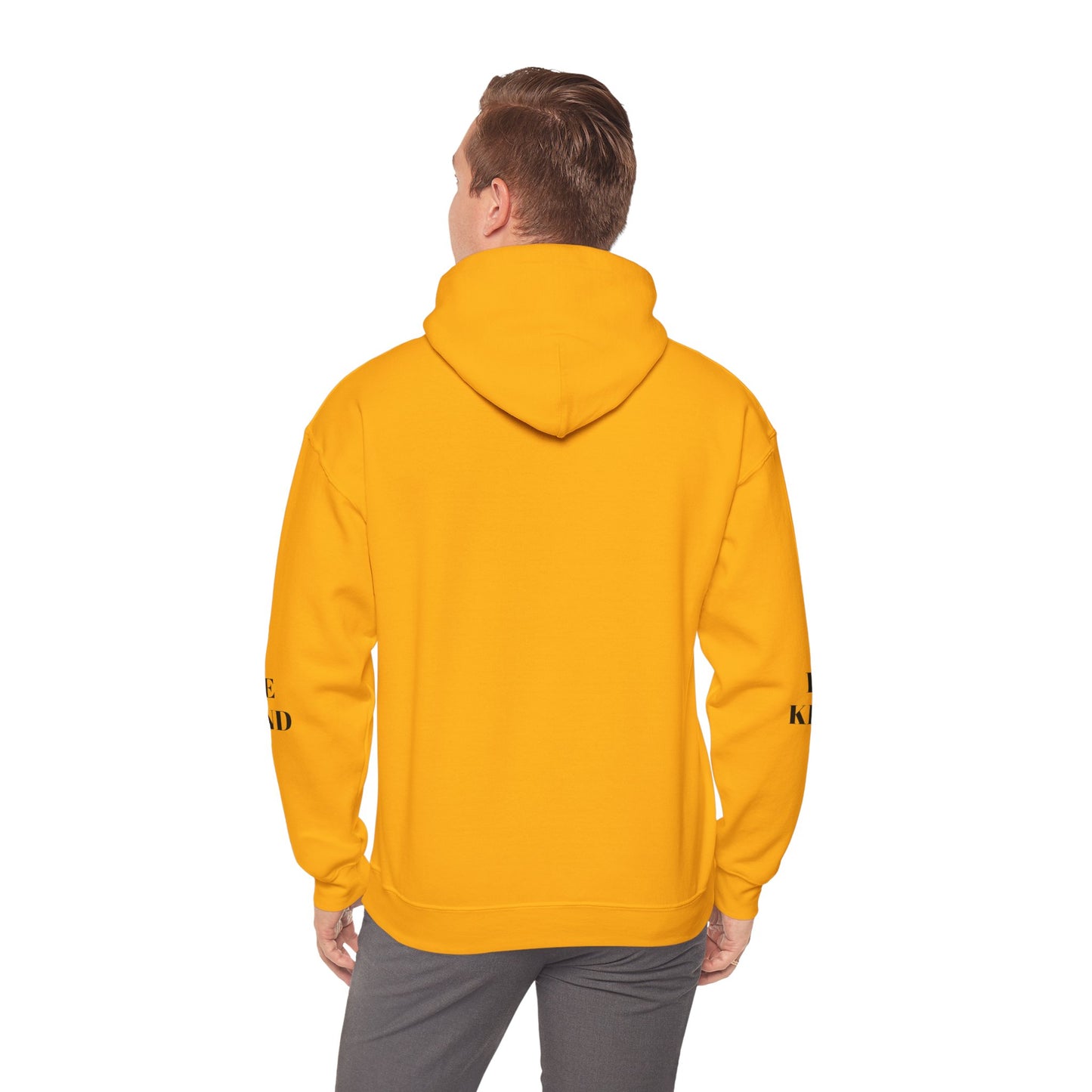 BE NICE HOODED SWEATSHIRT