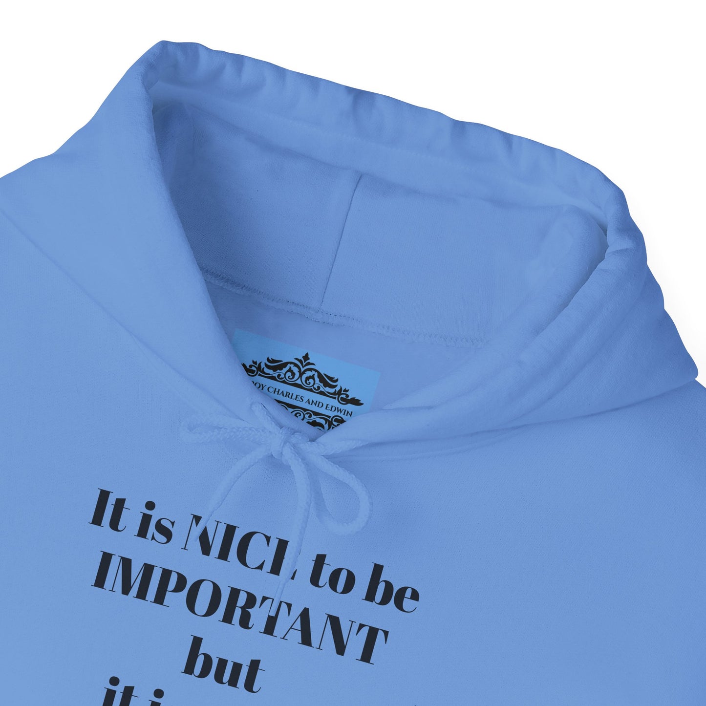 BE NICE HOODED SWEATSHIRT